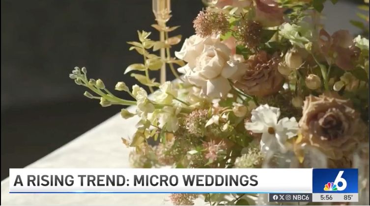 NBC 6 Miami segment on micro weddings — soft cream and dusty-rose floral arrangement in natural light